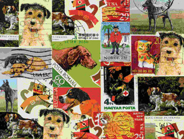 dogs