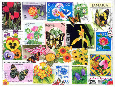 butterflies
