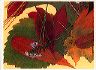fall_leaves