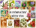 sympathy