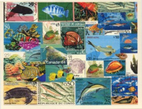 ocean life